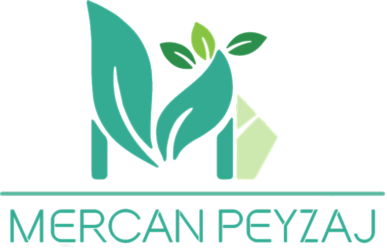 MERKEZ ADRES